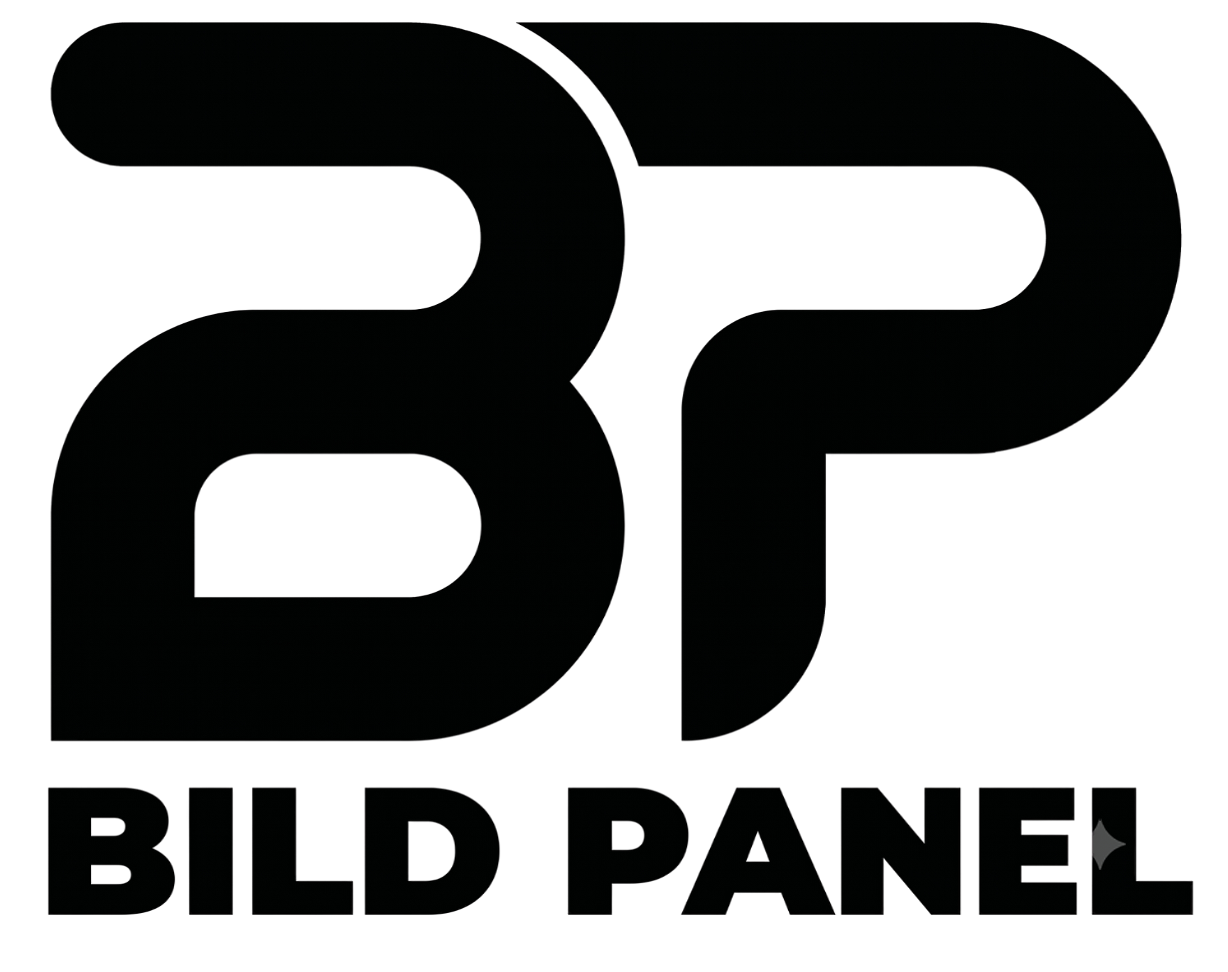 BILD PANEL LOGO